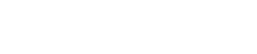 LOGO SKY77